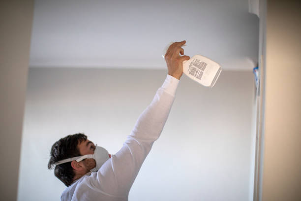 Best Local Mold Removal Service  in Pine Ridge, SC