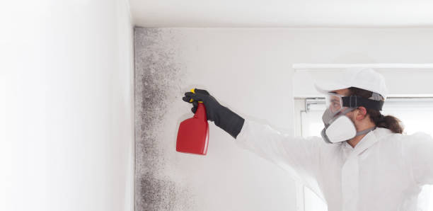 Best Crawl Space Mold Removal  in Pine Ridge, SC